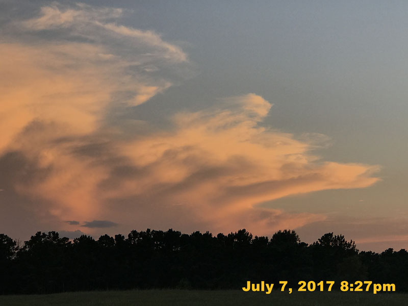 IMG_3071