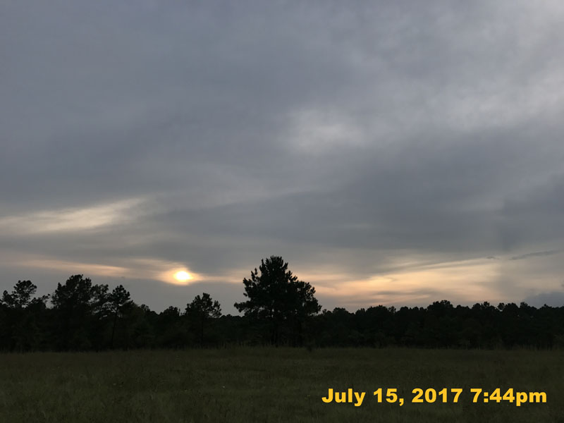 IMG_3553