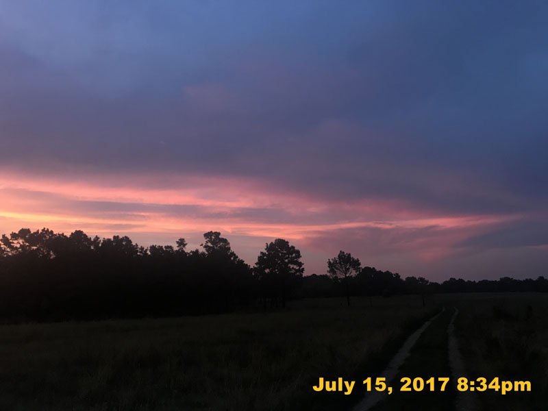 IMG_3566