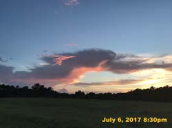 IMG_3005
