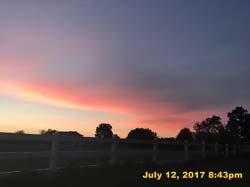 IMG_3324