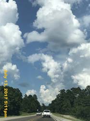 IMG_3369