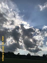 IMG_3372