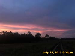 IMG_3566