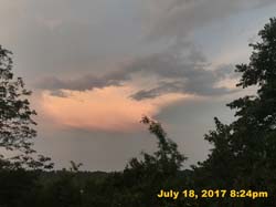 IMG_3799