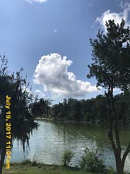 IMG_3819