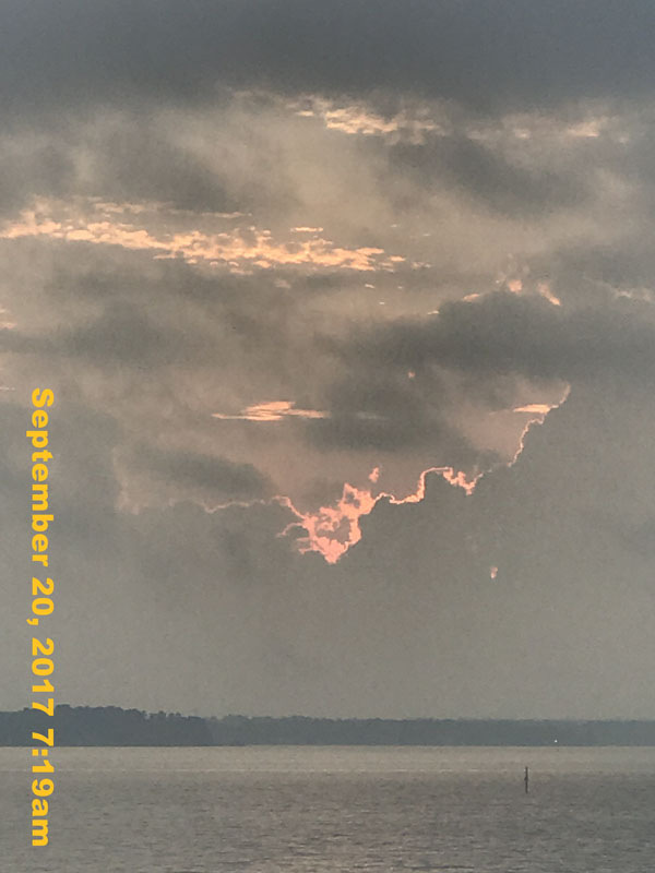 IMG_6783