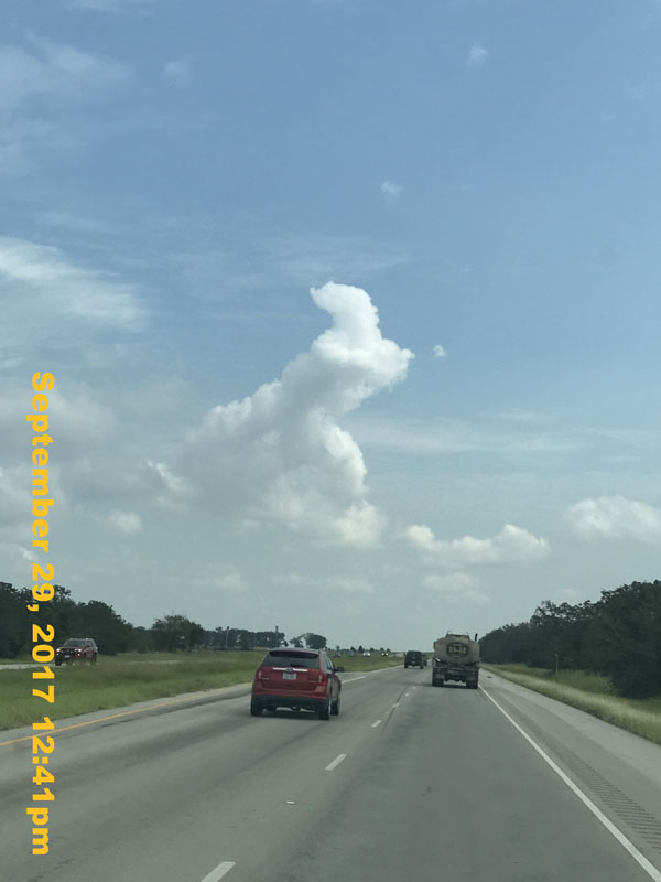 IMG_7318