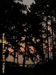 IMG_6819