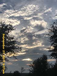IMG_7236