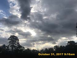 IMG_8732