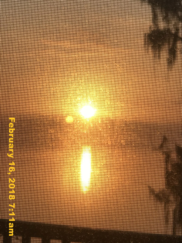 IMG_2874