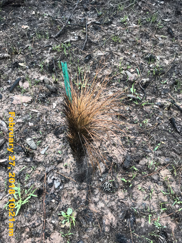 IMG_3122