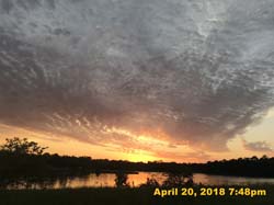 IMG_5263