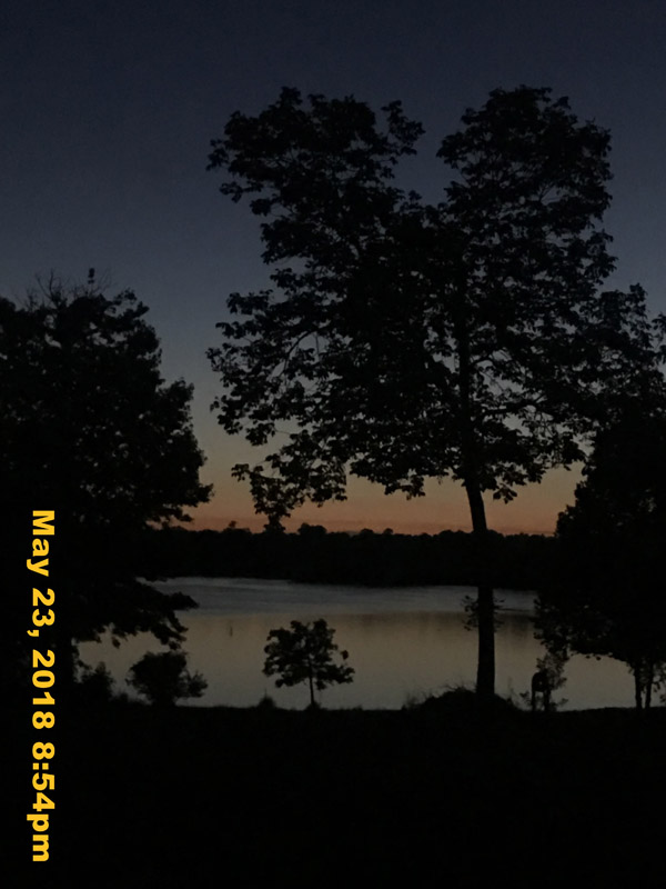 IMG_6445