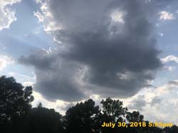 IMG_9453