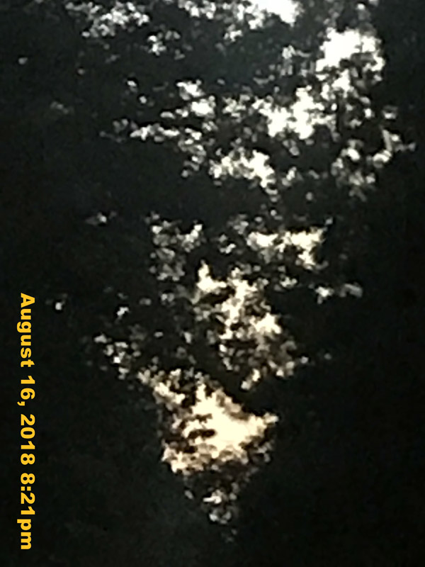 IMG_0421