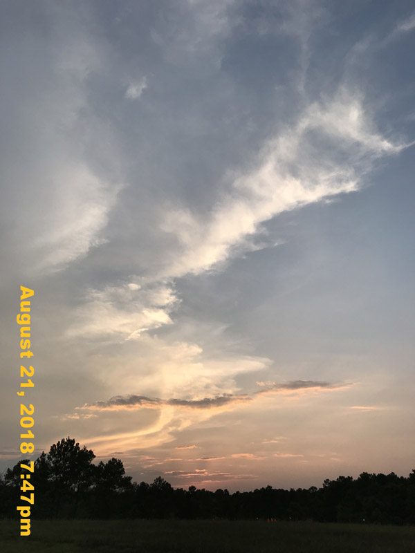 IMG_0772