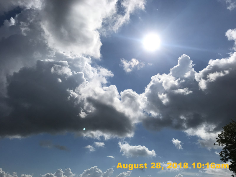 IMG_1082