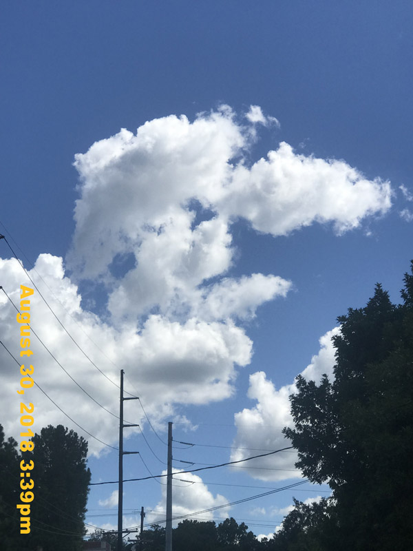 IMG_1196