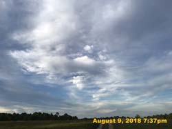 IMG_0059