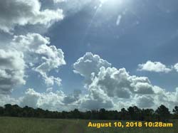 IMG_0084