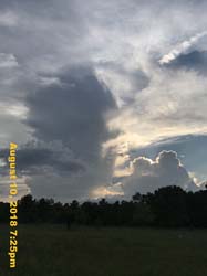 IMG_0140