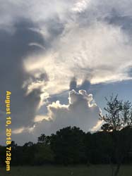 IMG_0144