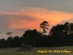 IMG_0510