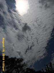 IMG_0554