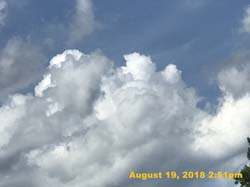 IMG_0556