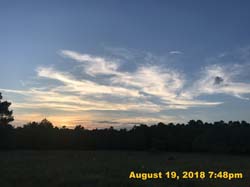 IMG_0582