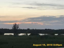 IMG_0590