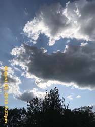 IMG_0635