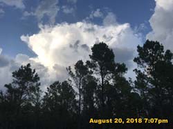 IMG_0659
