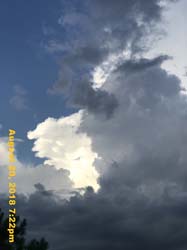 IMG_0686