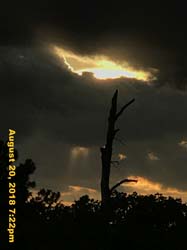 IMG_0687