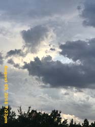 IMG_0688