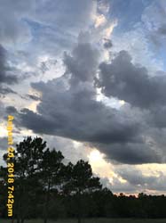 IMG_0700