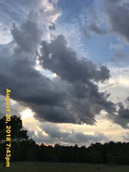 IMG_0701