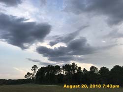 IMG_0705