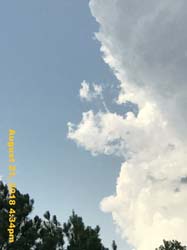 IMG_0751