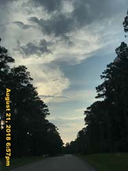 IMG_0763