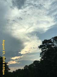 IMG_0765
