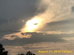 IMG_0767