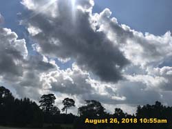 IMG_0987