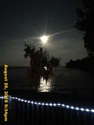 IMG_1011