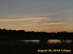 IMG_1226