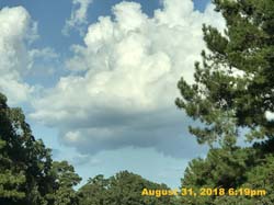 IMG_1260