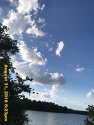 IMG_1264